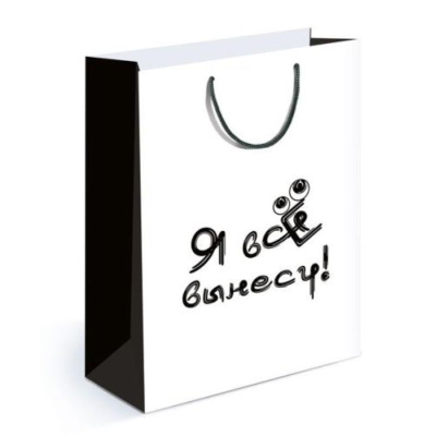 Пакет подарочный 22х31см ламинированный 'Я все вынесу'