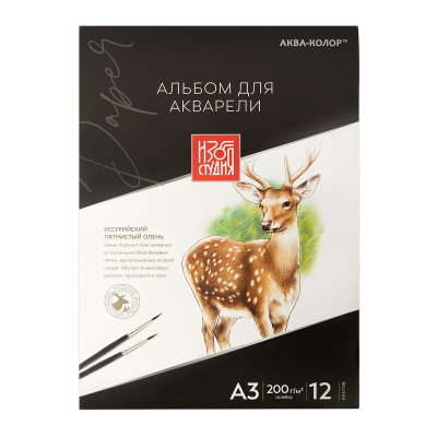 Альбом для акварели Аква-колор Изостудия 30х42см 200г 12л на склейке с трех сторон