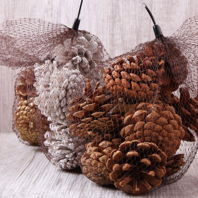 Природный материал Льдинка Шишки ассорти