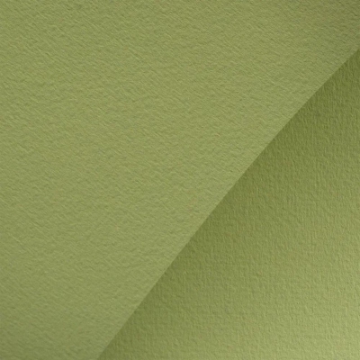 Бумага для пастели Мастер-Класс А4&nbsp;&nbsp;160г 40% хлопок фисташковая