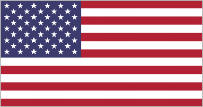 Флажок государства США 20х10см