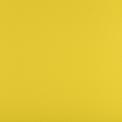 Фетр цветной жесткий 33х53см 1.2мм Gamma Premium желтый