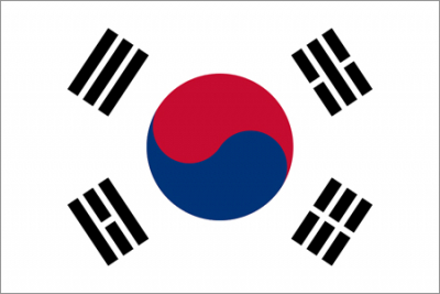 Флажок государства Южная Корея 20х10см