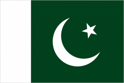 Флажок государства Пакистан 20х10см