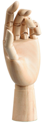 Модель Рука женская левая 25см деревянная