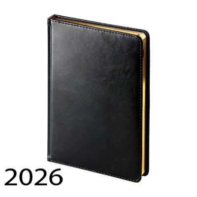 Ежедневник 2026 A5 BrunoVisconti® 'Sidney Nebraska' 336стр твердая обложка искусственная кожа черный