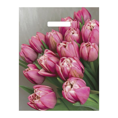 Пакет подарочный 31х40см полиэтиленовый с вырубной ручкой 'Розовые тюльпаны'