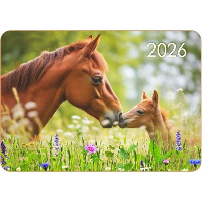 Календарь карманный 2026 Lamark 10х7см 'Символ года. Год лошади - Семья'